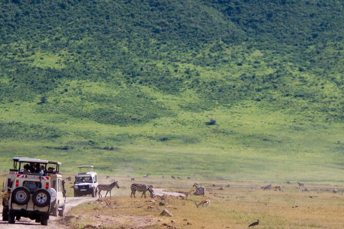 1 Day Ngorongoro Crater Group Jioning Safari - Itinerary and Activities