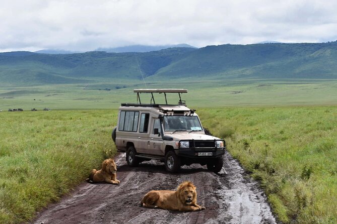 1 Day Private Ngorongoro Crater Safari - Accessibility Information