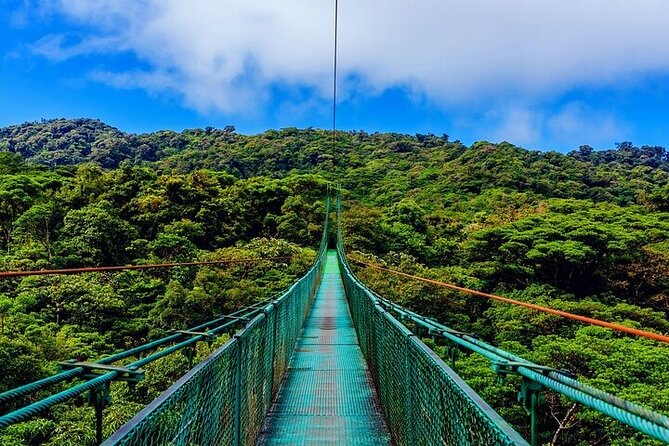 1 Full Private Tour to Arenal Volcano + Baldi Hot Springs - Tour Conditions