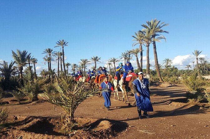 1-Hour Camel Ride and 1-Hour Quad Bike Ride in Marrakech. - Tour Ratings and Reviews