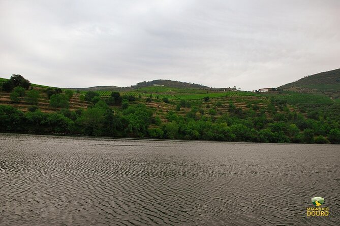 1-Hour Rabelo Boat Trip in Pinhão - Staff and Service Quality