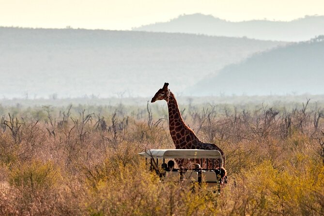 1 Night Madikwe Game Reserve - Meeting and Pickup Details