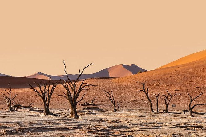 10 DAYS BEAUTY OF NAMIBIA | Private Guided Tour - Inclusions and Amenities