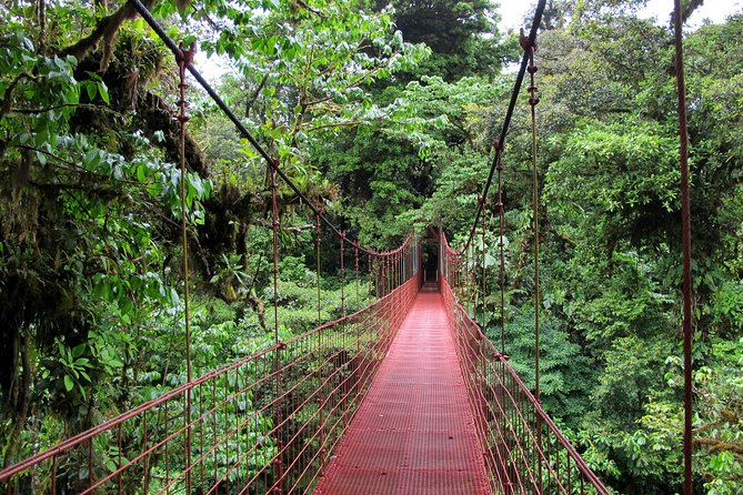 10 Days: Costa Rica Pure Nature - Taking in Local Culture