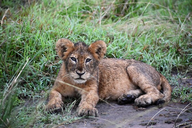 10 Days Uganda Safari With Gorillas - Pickup Information