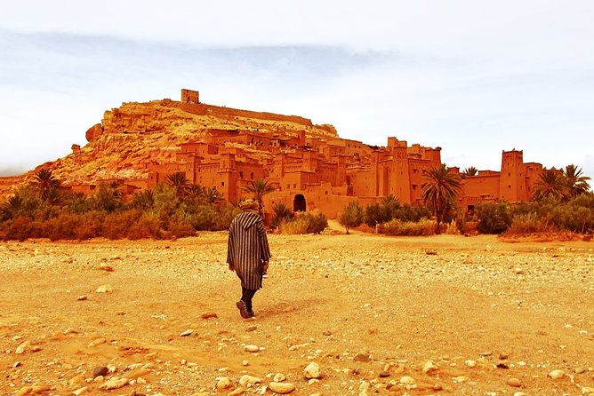 11 Days Adventurous Must-Do Morocco Cultural Tour From Casablanca - Unique Cultural Experiences