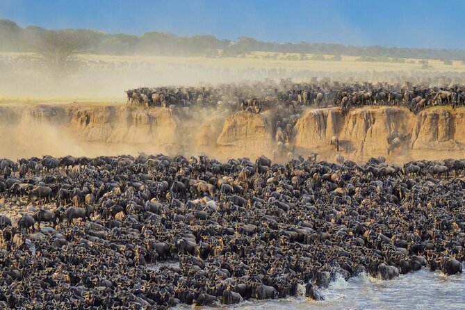 12 Days Wildlife Safaris And Culture Tour - Tracking Wildlife in Tarangire National Park