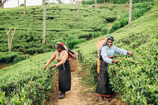 13-Day Flexible Private Sri Lanka Tour - Booking Process