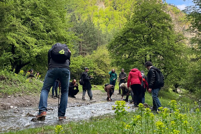 13 Km Hike in Borjomi - Group Tour From Tbilisi - Recommended Supplies and Safety Checks