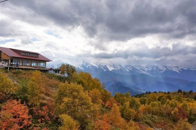 17 Day Private Tour Through Georgia - Health and Accessibility