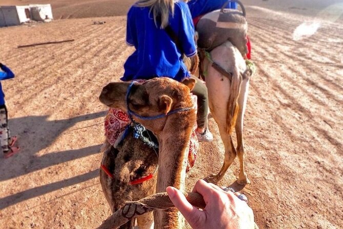 1h Quad Bike Tour & Dinner Show With Camel Ride in Agafay Desert - Traveler Reviews