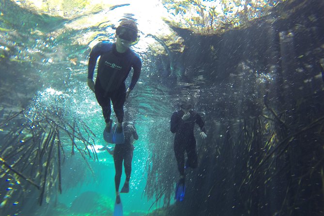 2 Cenotes Adventure From Tulum - Small Group - All Inclusive - Requirements and Restrictions