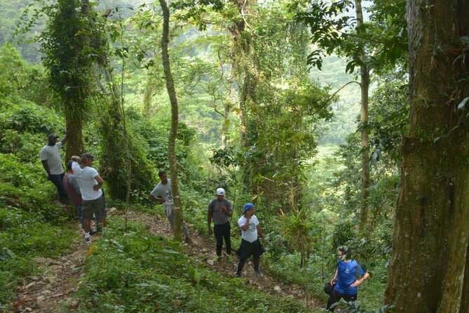 2-Day Bird Watching Tour in the Sierra De Bahoruco - Tour Participation