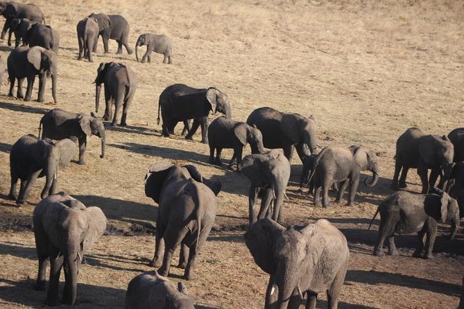 2-Day Camping Safari in Chobe National Park From Victoria Falls - Accommodations and Meals