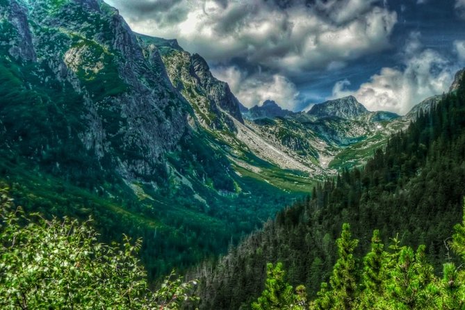 2-Day Highlights Tour of Slovakia From Bratislava Cicmany Vlkolinec High Tatras - Experience: Traditional Sheep Farm