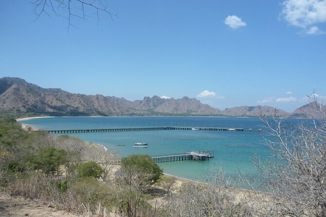 2-Day Komodo National Park and Rinca Island Wildlife Adventure From Bali - Reviews and Testimonials
