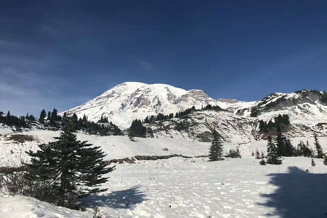 2-Day Mount Rainier & Olympic National Parks Tour From Seattle - Booking and Payment