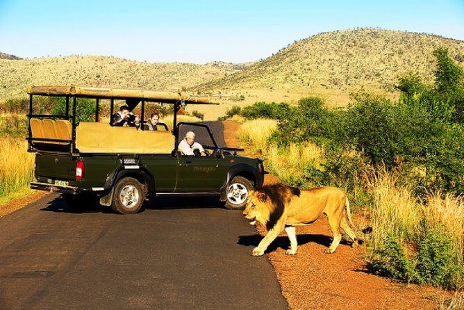 2 Day Private Pilanesberg Guided Tour - Inclusions and Amenities