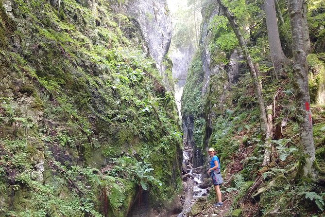 2-Day Transylvania Culture Trek From Brasov - Small Group Tour - Visiting Rasnov Fortress