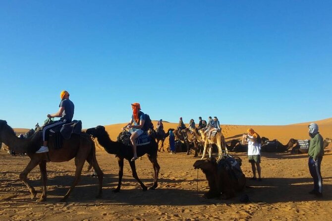 2 Days Luxury Camp Camel Trekking Experience From Fes to Merzouga - Meeting and Pickup