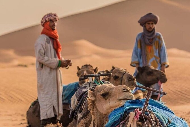 2 Days Luxury Tour to Merzouga Desert From Fez With Small Group - Pickup Arrangements