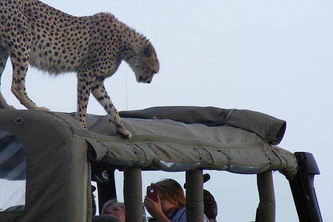 2 Days Masai Mara Private Safari From Nairobi - Cancellation Policy Explained