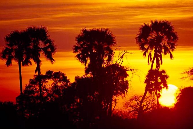 2 Days Ruaha National Park - Meeting and Pickup Details