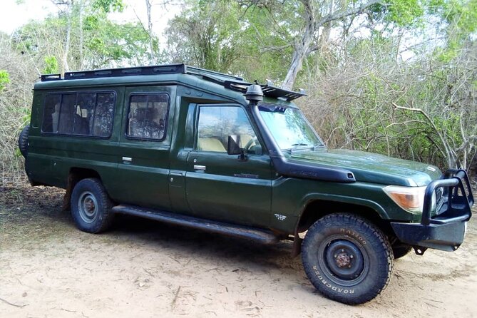 2 Days Tour From Zanzibar to Nyerere National Park (Selous GR) - Pickup Information