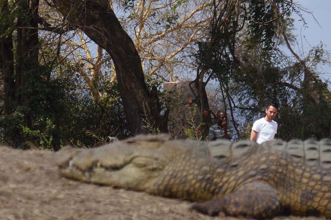 2 Days Wildlife Safari in Mikumi National Park - Personalized Private Safari Experience