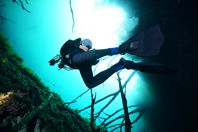 2 Dives in Cenote Dos Ojos Certified Divers - Traveler Reviews and Recommendations