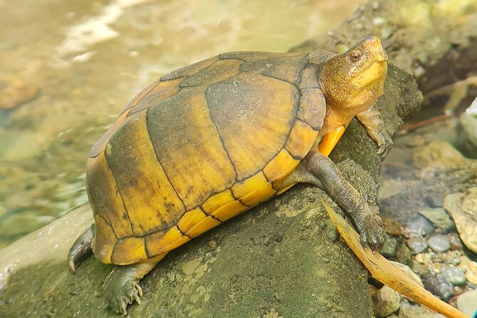 2-Hour Boat Tour in Quepos - Meeting and Pickup