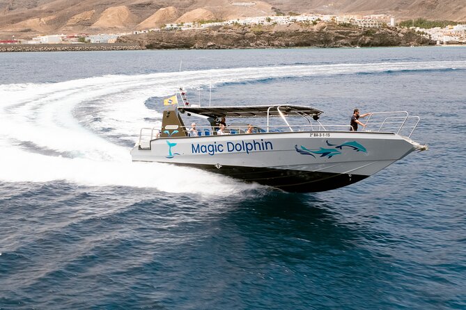 2-Hour Dolphin Watching Experience in Fuerteventura - Pricing and Booking Options