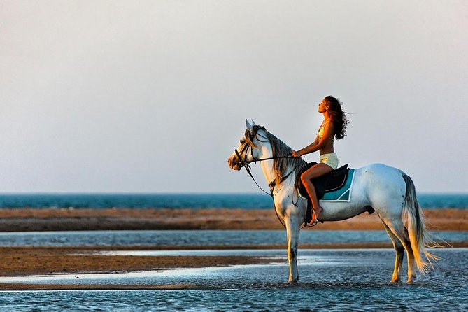 2-Hour Horse Riding Adventure on The Sea and Desert in Hurghada - Customer Experiences and Feedback