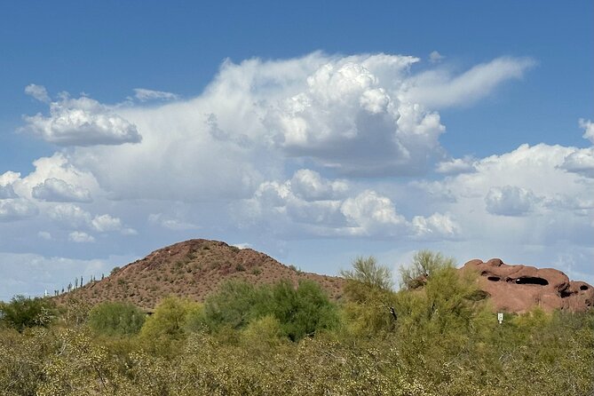 2 Hour Photography Tour of Phoenix Desert Botanical Gardens - Accessibility