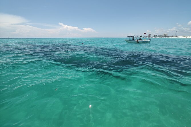 2-Hour Private Dolphin Sightseeing Adventure - Meeting Location