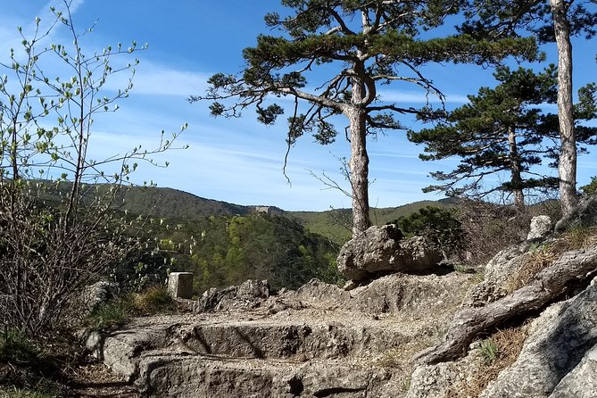 2-Hour Private Hiking Tour on Kalenderberg Mountain to Meet History From Vienna - Tour Confirmation and Cancellation Policy