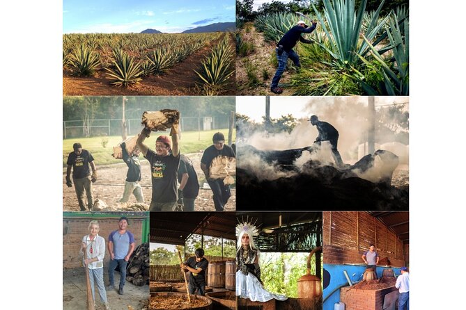 2-Hour Private Mezcal and Geisha Liqueur Tasting Experience - Meeting Point and Directions