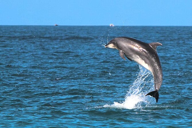 2 Hour Sunset Dolphin Watching Shared Tour Review - Participant Requirements