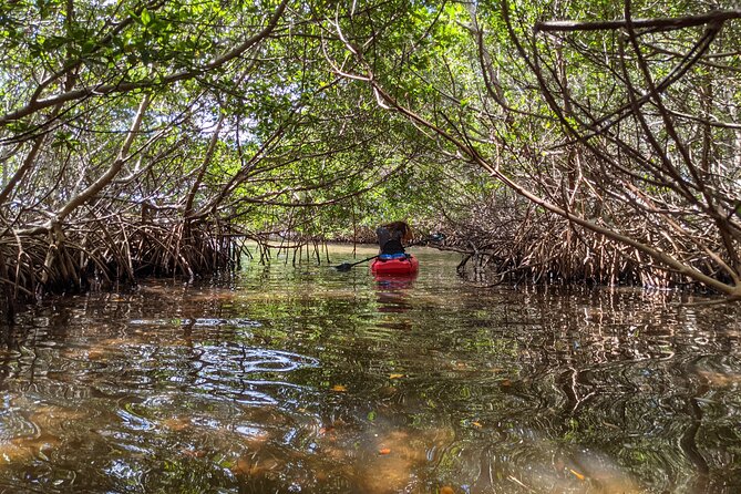 2 Hour Tandem Kayak Tour (Price for 2 People) - Safety Measures