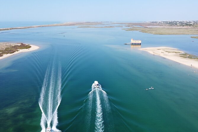 2 Hours Boat Tour in Ria Formosa - Wildlife Observation Opportunities