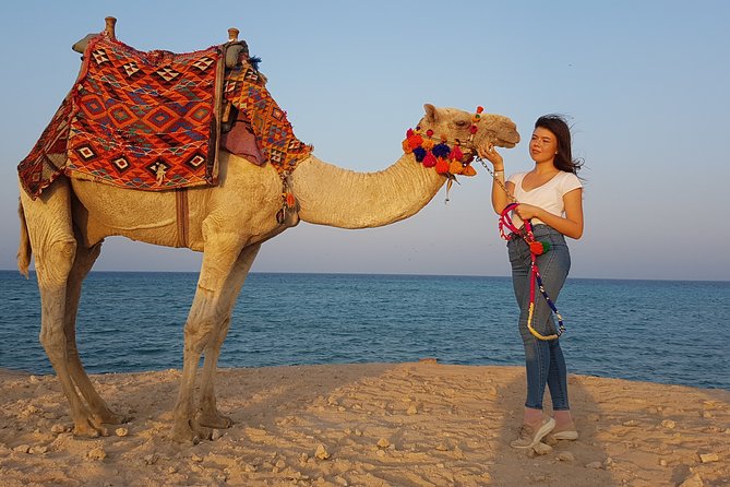 2 Hours Camel Riding at Amazing Desert & Sea With Transfer - Hurghada - Booking and Cancellation