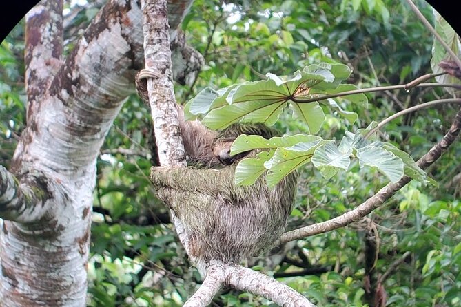 2-in-1 Arenal Hanging Bridges + La Fortuna Waterfall - Inclusions and Amenities