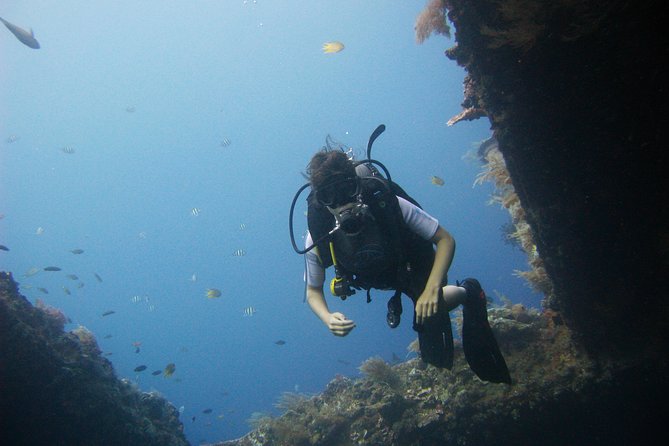 2 PADI Certified Dives at Tulamben From Bali - Customer Reviews and Ratings