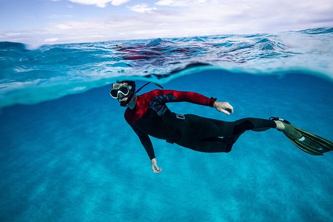 24H Snorkel Rental Equipment, Discover Tenerife on Your Own! - Accessibility and Transportation