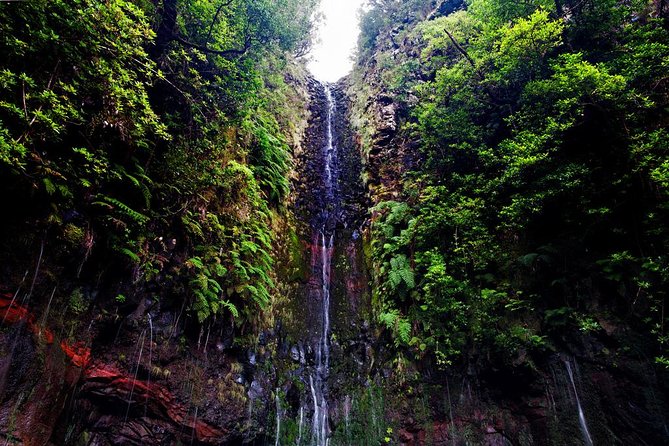 25 Fountains Walk / Lost In The Beautiful Forest - Physical Requirements
