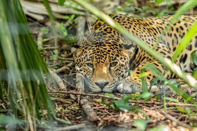 3-Day Adventure and Nature Tour in Huasteca Potosina From Ciudad Valles - Pricing and Cancellation Policy