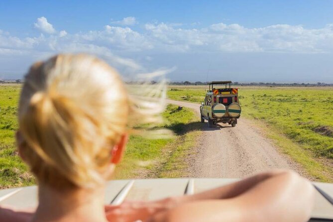 3 Day Classic, Guided Serengeti Safari - Accessibility Features