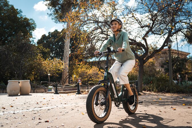 3 Day Electric Bike Rental (upto 4 Ebikes) Fort Lauderdale - Instruction and Support