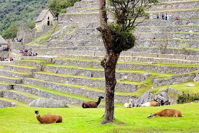 3-Day Huchuy Qosqo Trek to Machu Picchu Private Service - Travel Recommendations