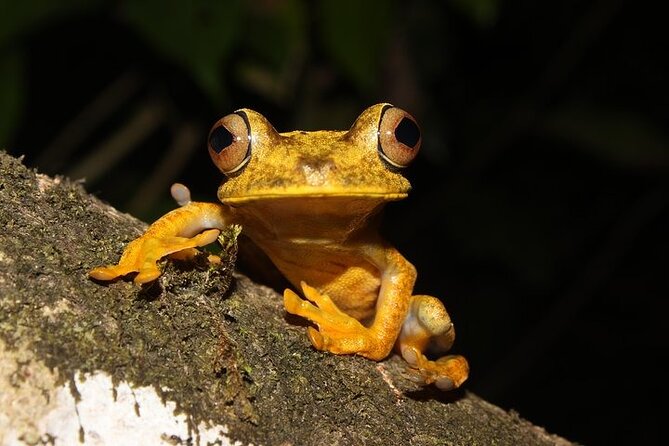 3-Day Jungle Adventure From / to Tena - Napo Amazon Region - Booking Information and Pricing